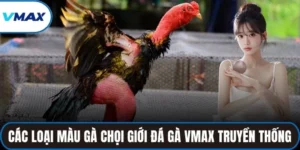 các loại màu gà chọi