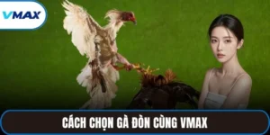 gà đòn
