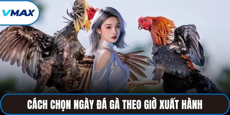 Cách chọn ngày đá gà theo giờ xuất hành