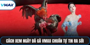 cách xem ngày đá gà