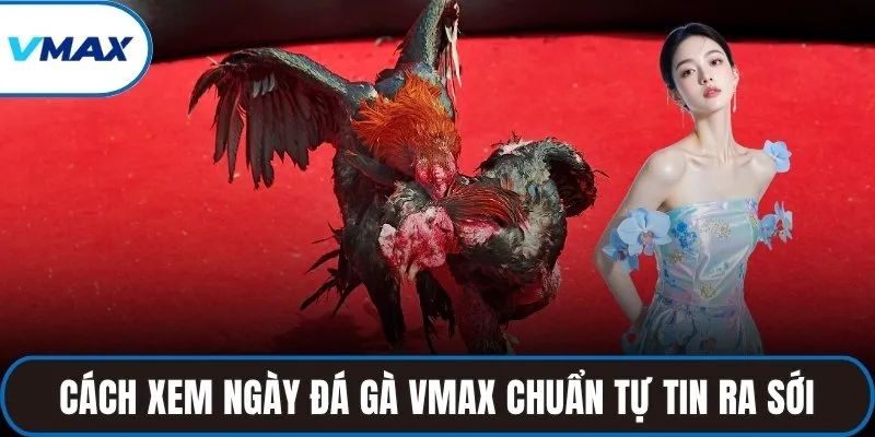 cách xem ngày đá gà