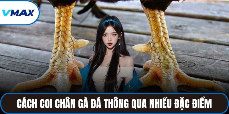 Chia sẻ cách coi chân gà đá thông qua nhiều đặc điểm