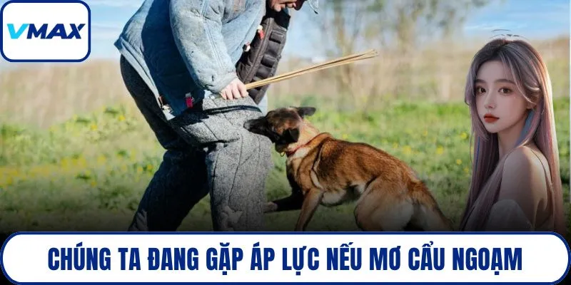 Chúng ta đang gặp áp lực tâm lý nếu mơ cẩu ngoạm