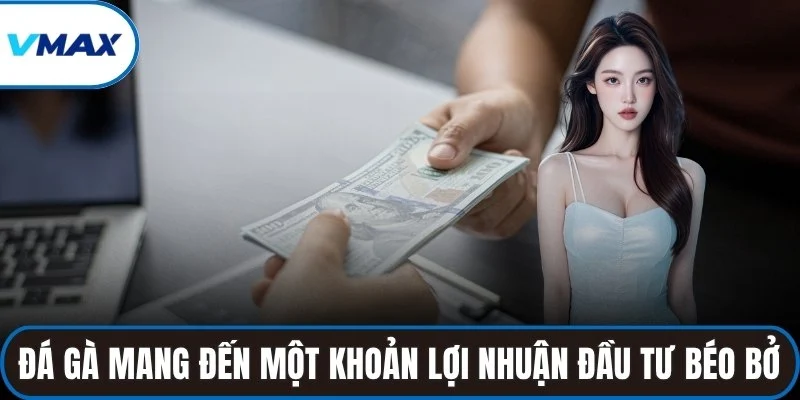 Đá gà mang đến một khoản lợi nhuận đầu tư béo bở