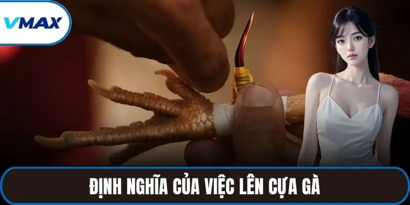 Định nghĩa của việc lên cựa gà