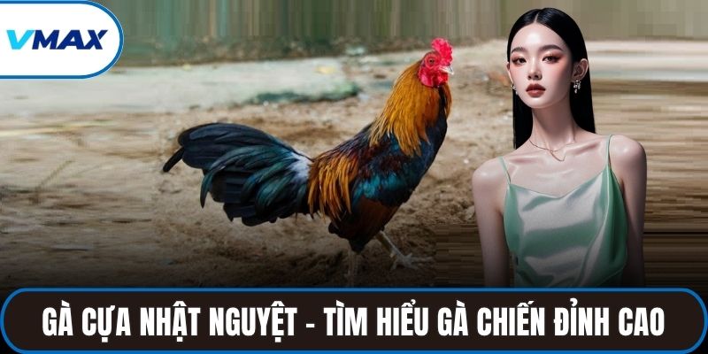 gà cựa nhật nguyệt