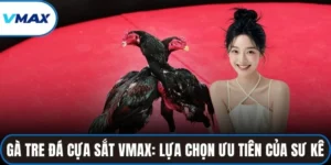 gà tre đá cựa sắt