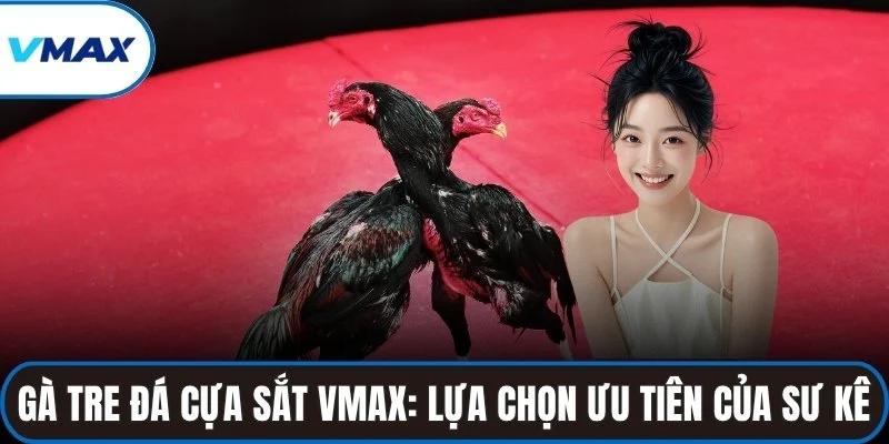 gà tre đá cựa sắt