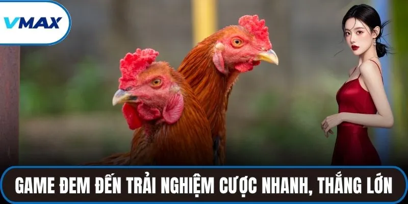 Game đem đến trải nghiệm cược nhanh, thắng lớn
