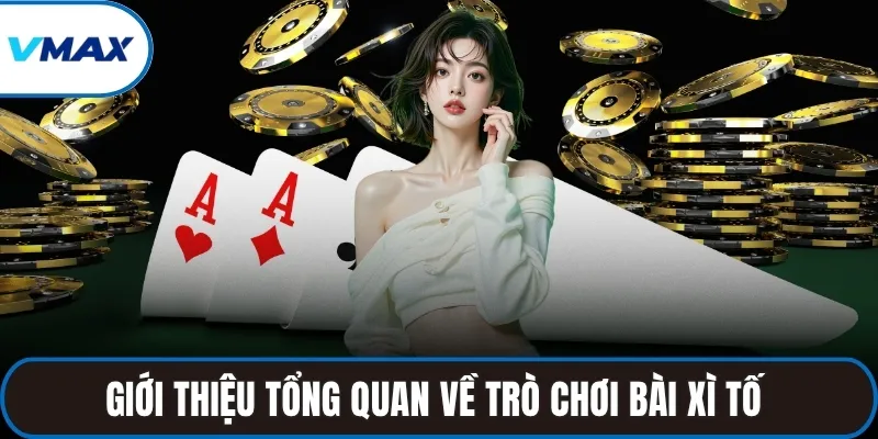 Giới thiệu tổng quan về trò chơi bài xì tố 