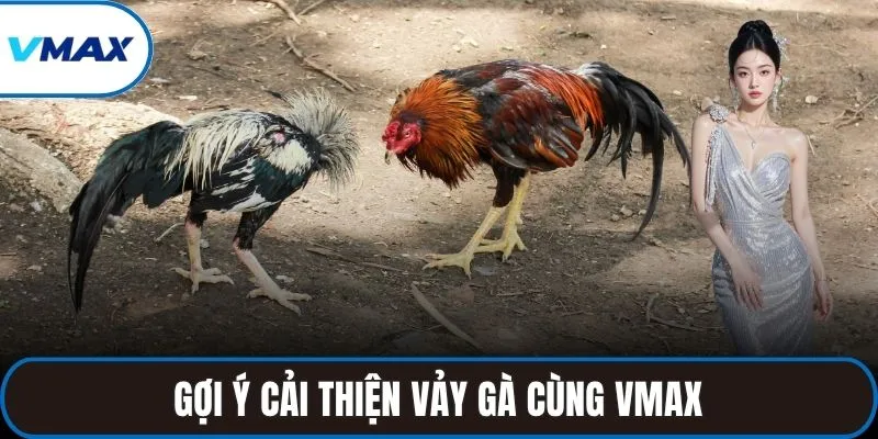Gợi ý cải thiện vảy gà cùng VMAX
