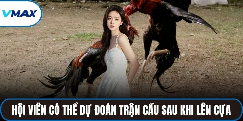 Hội viên có thể dự đoán trận cầu sau khi lên cựa