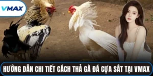 cách thả gà đá cựa sắt