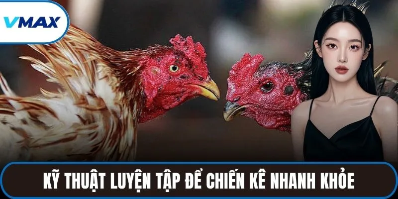 Kỹ thuật luyện tập và chăm sóc để chiến kê nhanh khỏe