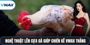 lên cựa gà