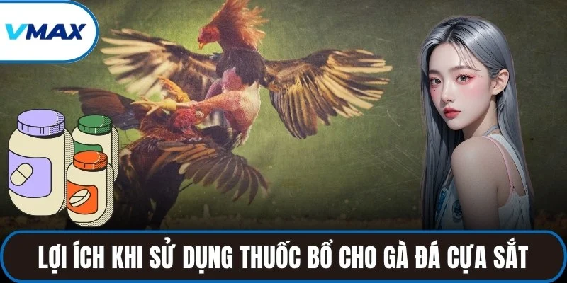 Lợi ích khi sử dụng thuốc bổ cho gà đá cựa sắt