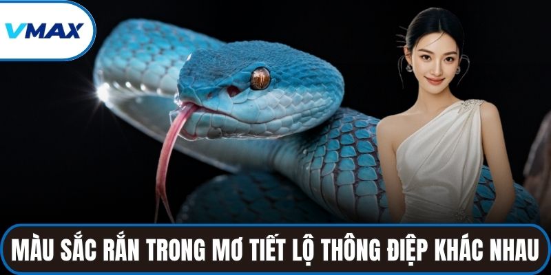 Màu sắc rắn trong giấc mơ tiết lộ những thông điệp khác nhau