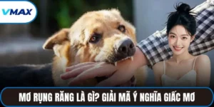 mơ bị chó cắn