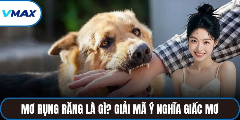 mơ bị chó cắn