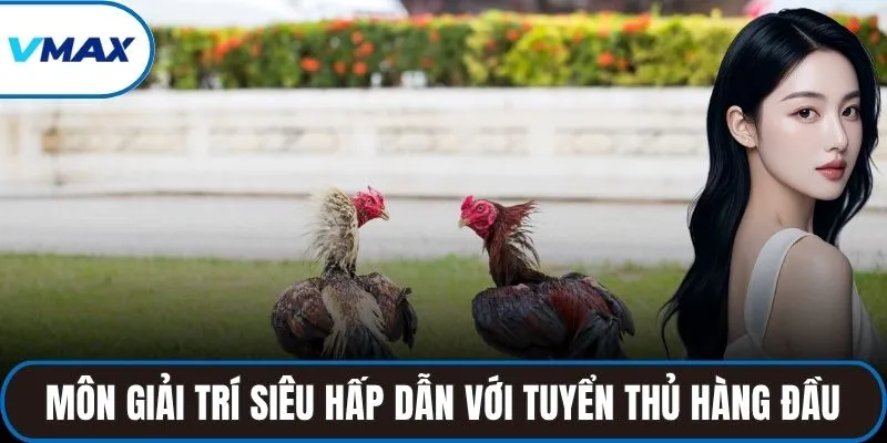 Môn giải trí siêu hấp dẫn với những tuyển thủ hàng đầu