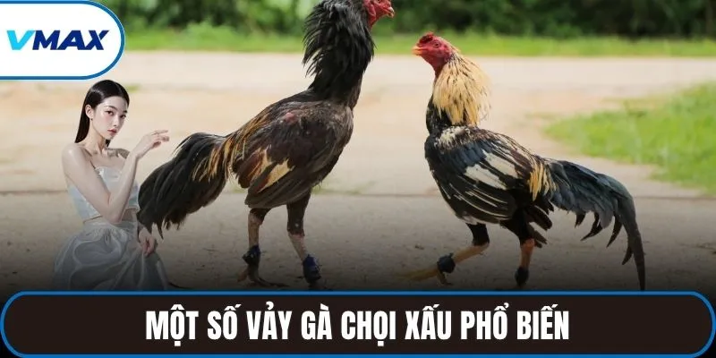 Một số vảy gà chọi xấu phổ biến