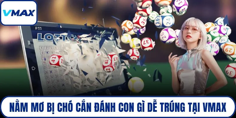 Nằm mơ bị chó cắn đánh con gì dễ trúng tại VMAX