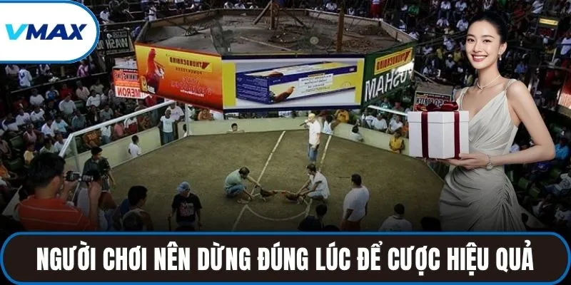 Người chơi nên dừng đúng lúc để trải nghiệm cược hiệu quả