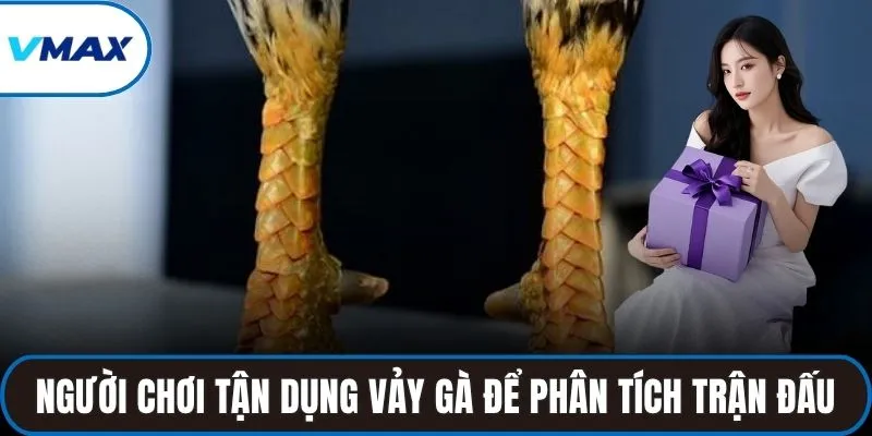 Người chơi tận dụng vảy gà để phân tích trận đấu