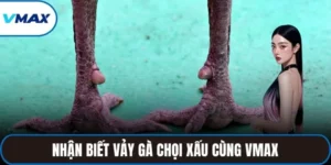 vảy gà chọi xấu