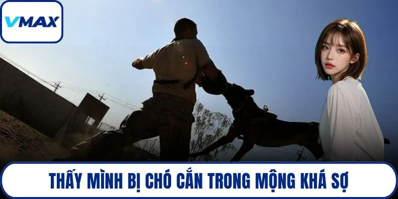 Thấy mình bị chó cắn trong mộng khá sợ