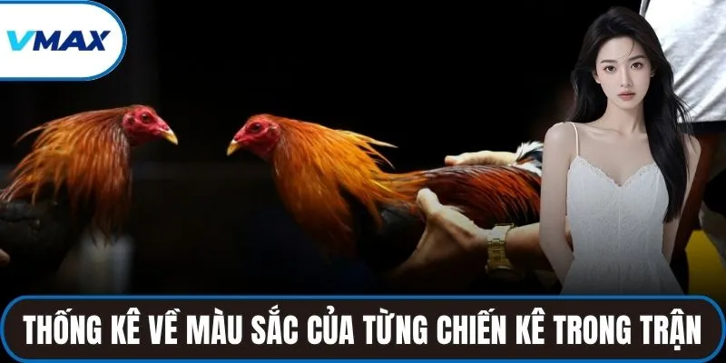 Thống kê về màu sắc của từng chiến kê trong trận