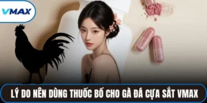thuốc bổ cho gà đá cựa sắt