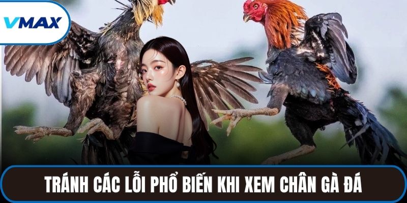 Tránh các lỗi phổ biến khi xem chân gà đá để chọn chiến kê