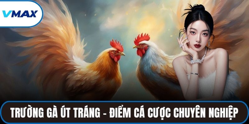 Trường gà Út Tráng – Điểm đến cá cược chuyên nghiệp