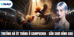 trường gà út tráng ở campuchia