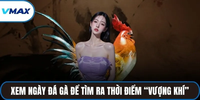 Xem ngày đá gà để tìm ra thời điểm “vượng khí”